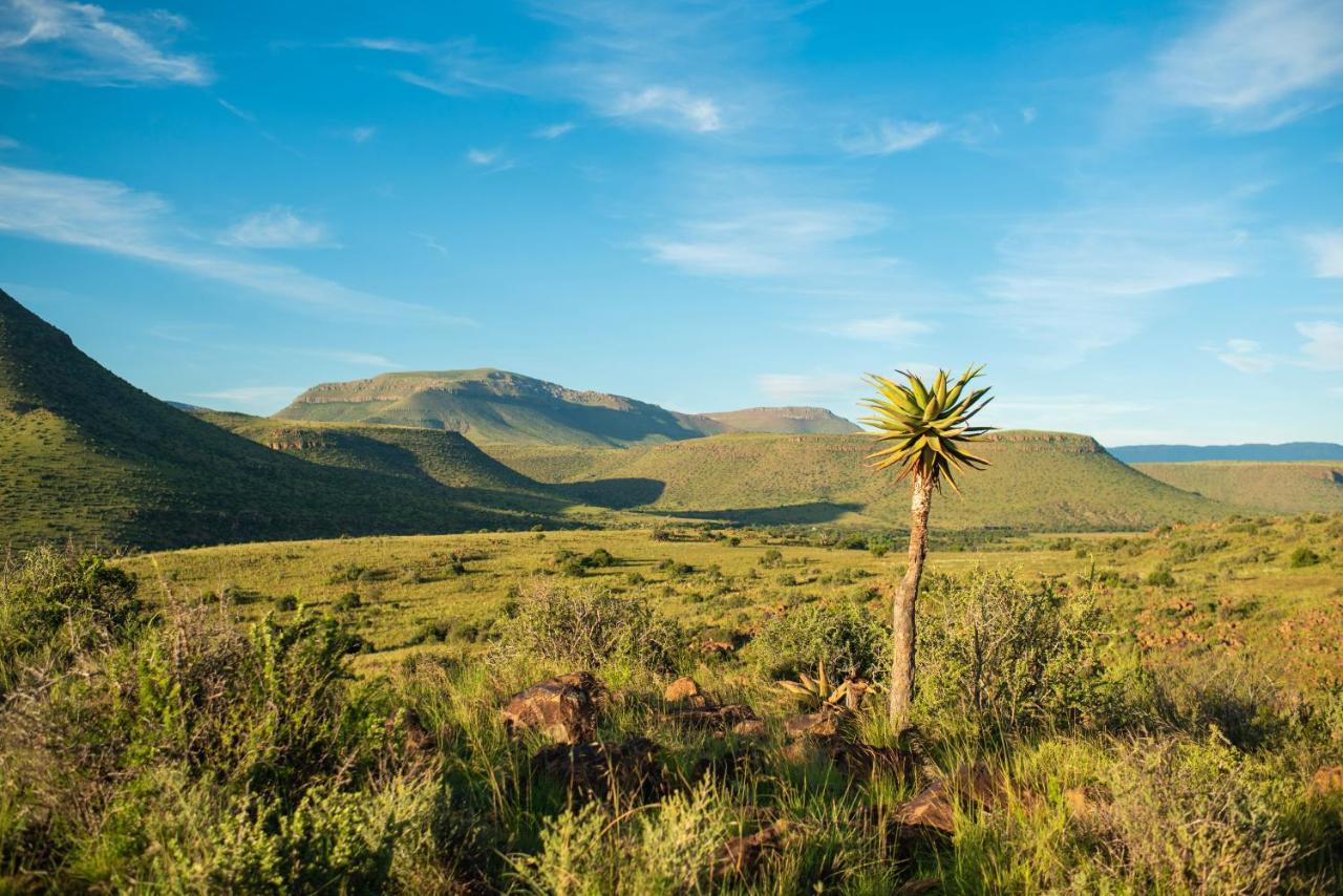 Glen Harry Game Reserve Graaff-Reinet Exterior foto