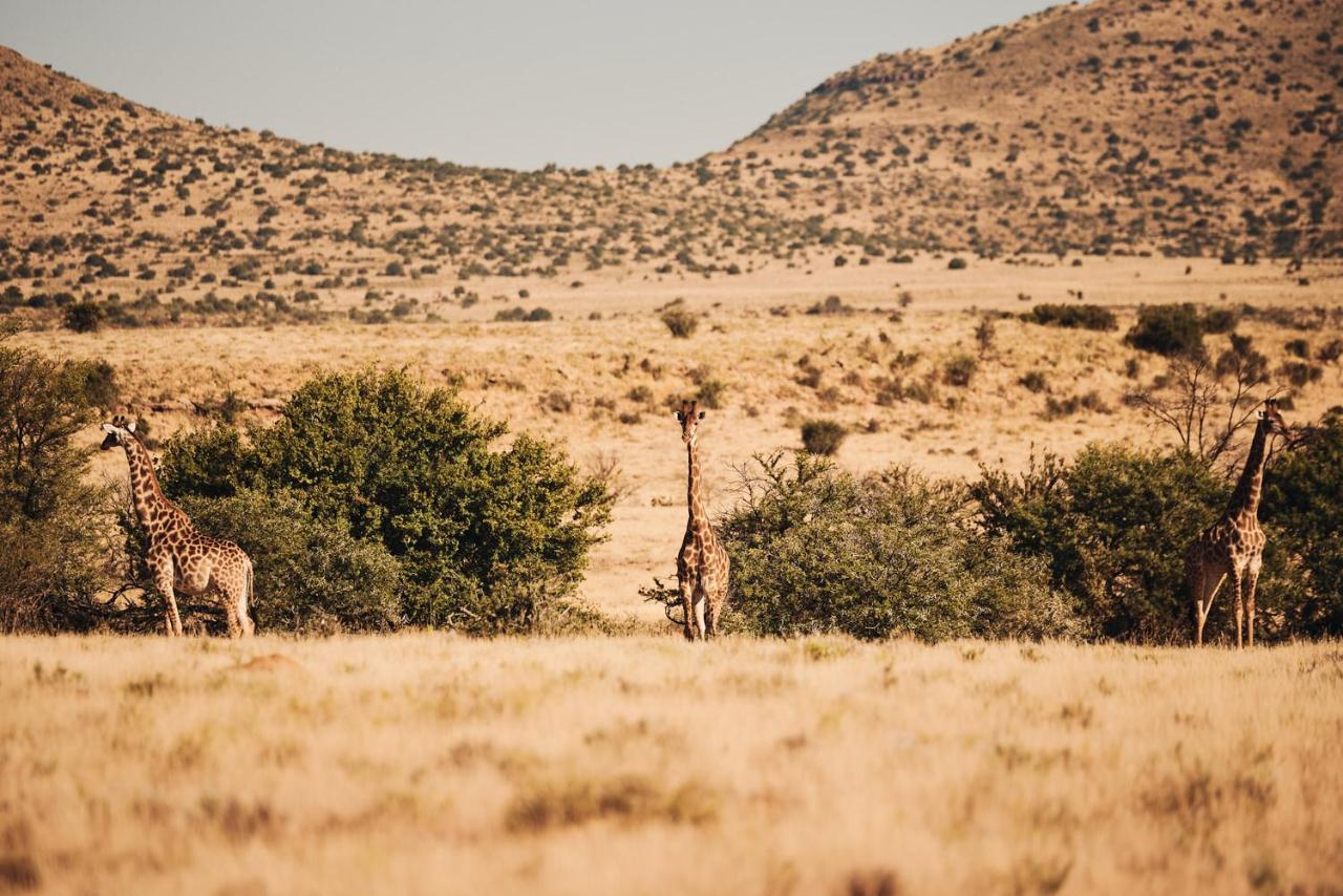 Glen Harry Game Reserve Graaff-Reinet Exterior foto