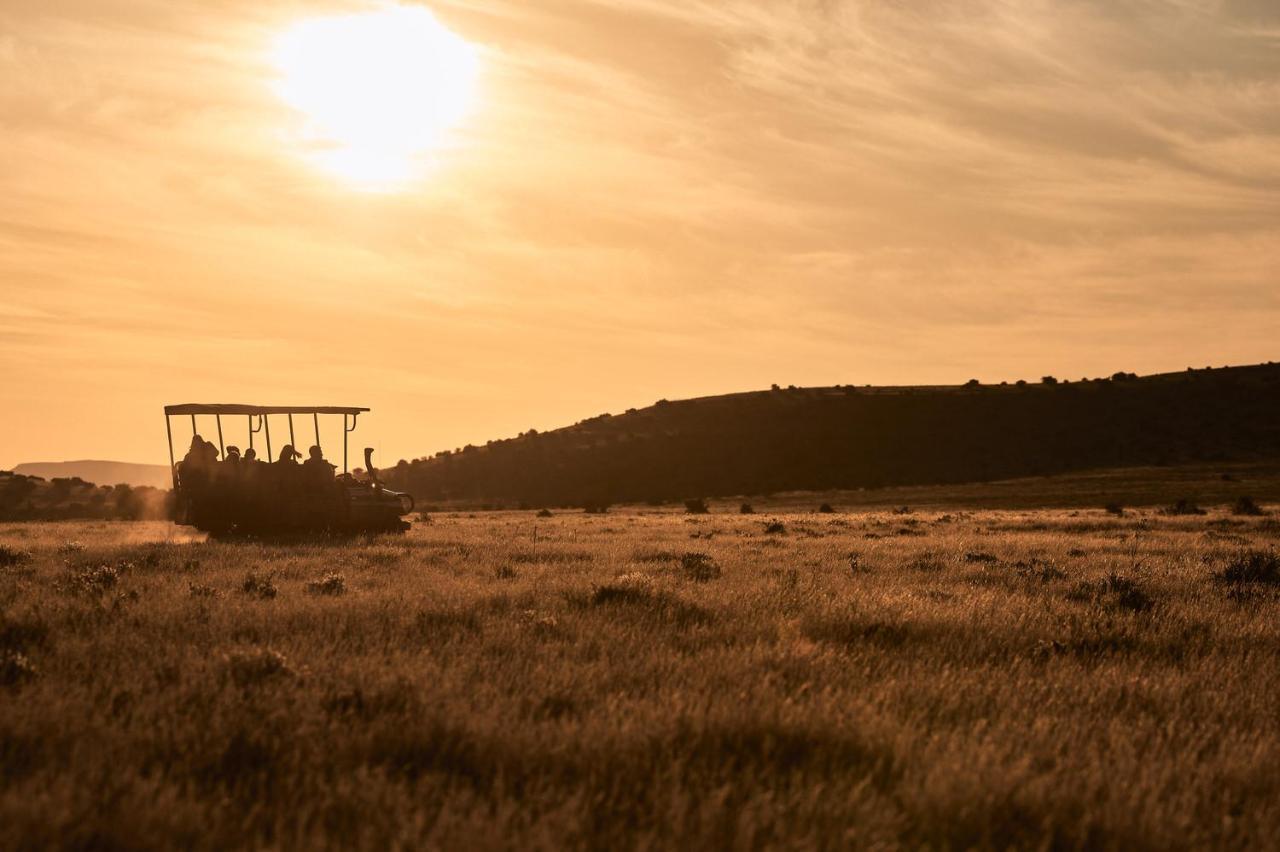 Glen Harry Game Reserve Graaff-Reinet Exterior foto